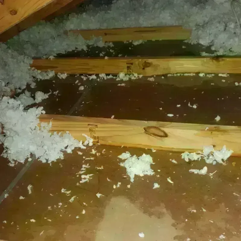 Attic Water Damage in Malvern, IA